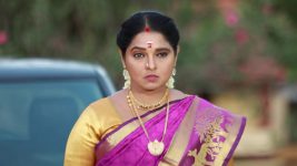 Raja Paarvai (vijay) S01E124 Meenatchi's Vicious Plan Full Episode