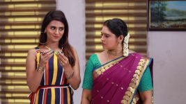 Raja Paarvai (vijay) S01E147 Banumati, Meenatchi Sketch a Plan Full Episode
