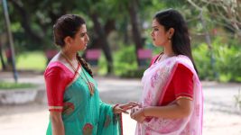 Raja Paarvai (vijay) S01E151 Charu Lies to Pavithra Full Episode