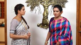 Raja Paarvai (vijay) S01E159 Mahalakshmi Insults Charu Full Episode