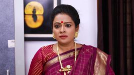 Raja Paarvai (vijay) S01E160 Mahalakshmi in Deep Trouble Full Episode