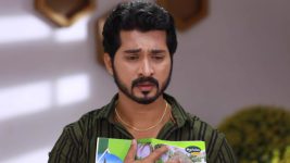 Raja Paarvai (vijay) S01E163 Anand Feels Guilty Full Episode