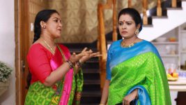 Raja Paarvai (vijay) S01E175 Kokila Is Enraged Full Episode