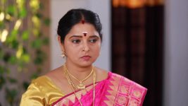 Raja Paarvai (vijay) S01E18 Meenatchi in a Fit of Rage Full Episode