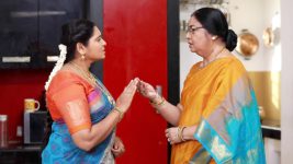 Raja Paarvai (vijay) S01E41 Meenatchi Urges Kamalavathy Full Episode