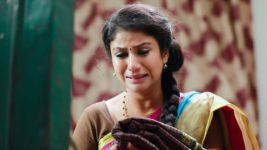 Raja Rani S01E21 Vadivu Criticises Sembaruthi Full Episode