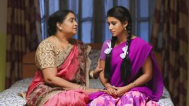 Raja Rani S01E29 Lakshmi Consoles Sembaruthi Full Episode