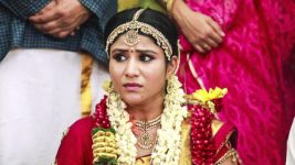 Raja Rani S01E31 Sembaruthi's Kanyadanam Ceremony Full Episode