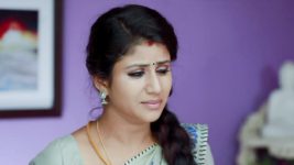 Raja Rani S01E46 Evil Clutches Surround Sembaruthi Full Episode