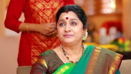 Raja Rani S01E490 Lakshmi's Sister in the House Full Episode