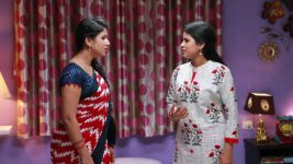 Raja Rani S01E502 Semba Assures Vinodhini Full Episode