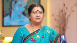 Raja Rani S01E505 Lakshmi Gives an Ultimatum Full Episode