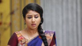 Raja Rani S01E512 Karthik Questions Semba Full Episode