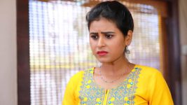 Raja Rani S01E514 Vinodhini in a Dilemma Full Episode