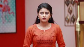 Raja Rani S01E515 Vinodhini Is Back Full Episode