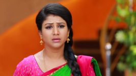 Raja Rani S01E516 Vinodhini Speaks Highly of Semba Full Episode