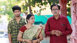 Raja Rani S01E518 Harish's Family Apologises Full Episode