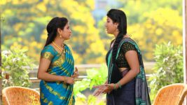 Raja Rani S01E520 Vinodhini Seeks Semba's Help Full Episode