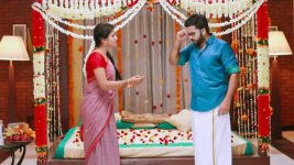 Raja Rani S01E53 Karthik-Semba's First Night! Full Episode