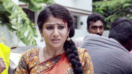 Raja Rani S01E57 Sembaruthi Gets Injured! Full Episode