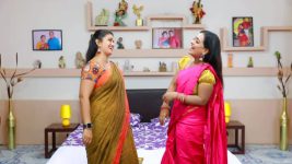 Raja Rani S01E570 Archana, Vadivu's Evil Joy Full Episode