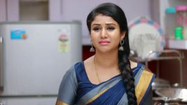 Raja Rani S01E571 Semba Gets Taunted Full Episode
