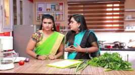 Raja Rani S01E573 Archana, Vadivu's Plan Fails Full Episode