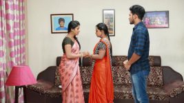 Raja Rani S01E579 Vadivu Apologises to Semba Full Episode