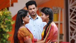 Raja Rani S01E581 Vadivu, Semba Get Emotional Full Episode