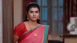 Raja Rani S01E582 Archana's Transformation Full Episode