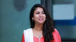 Raja Rani S02E09 Sandhya Is Shattered Full Episode