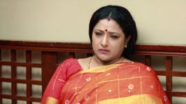 Raja Rani S02E11 Sivagami Is Traumatised Full Episode
