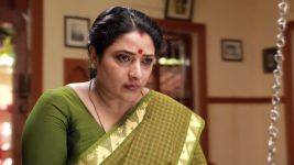 Raja Rani S02E13 Sivagami Defends Saravanan Full Episode