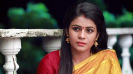 Raja Rani S02E22 Janani Tries to Convince Sandhya Full Episode