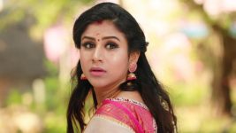 Raja Rani S02E37 Sandhya's Hardships Full Episode