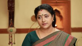 Raja Rani S02E42 Sivagami Accuses Archana Full Episode