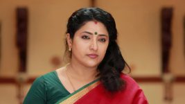 Raja Rani S02E44 Sandhya's Advice to Sivagami Full Episode