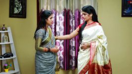 Raja Rani S02E47 Janani's Advice to Sandhya Full Episode
