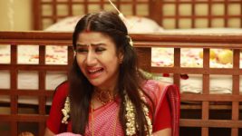 Raja Rani S02E49 Sandhya's Emotional Outburst Full Episode