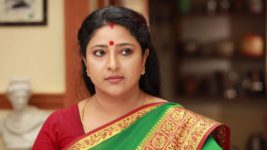 Raja Rani S02E50 Sivagami Loses Her Cool Full Episode