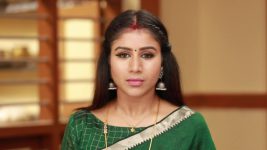 Raja Rani S02E52 Sandhya Impresses the Family Full Episode