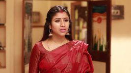 Raja Rani S02E54 Sandhya in Trouble? Full Episode