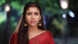 Raja Rani S02E56 Sandhya Loses her Calm Full Episode