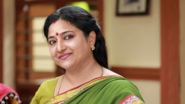 Raja Rani S02E58 Sivagami Praises Saravanan Full Episode