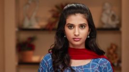 Raja Rani S02E60 Parvathy's Apology to Sandhya Full Episode