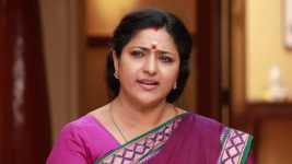 Raja Rani S02E62 Sivagami Loses her Calm Full Episode