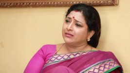 Raja Rani S02E63 Sivagami Is Disheartened Full Episode