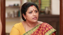 Raja Rani S02E64 Sivagami Bashes Senthil Full Episode