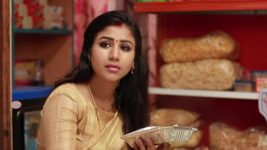 Raja Rani S02E67 Sandhya Is Impressed Full Episode