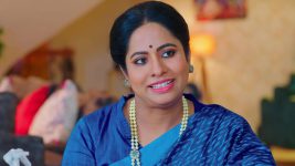 Rakhi Purnima S01E10 Yamuna Is Happy for Siddu Full Episode